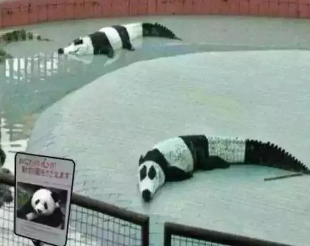 1543979890191550.png image.png