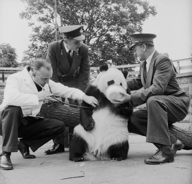 1543980066496346.png image.png