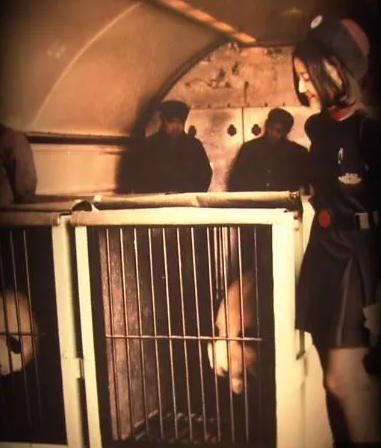 1543980081498667.png image.png