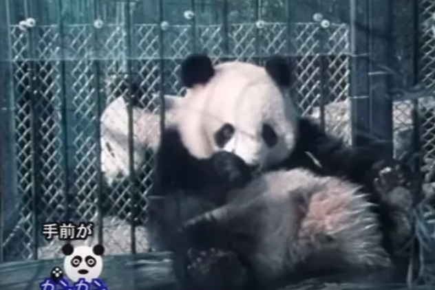 1543980346854722.png image.png