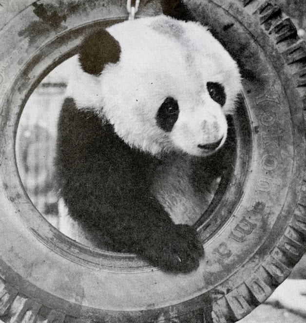 1543980403456372.png image.png