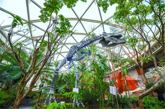 2019北京世园会园区工程建设进入收尾阶段