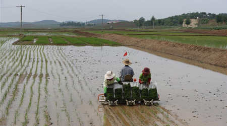 朝中友好宅庵合作农场访问记