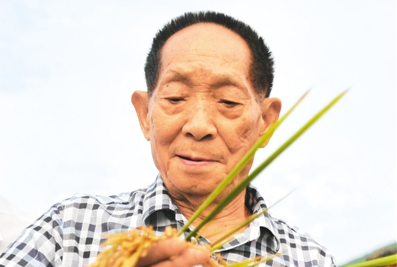 【三农篇】袁隆平：我有一个梦想