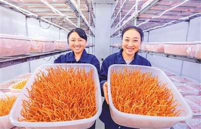 【三农篇】走在希望的田野上