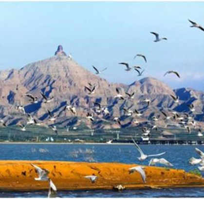 【生态环境】天蓝地绿扮靓美丽中国