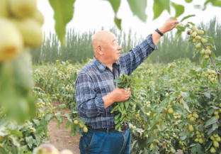 【中国脱贫传奇⑧】记者手记：石榴籽精神是最大的底气