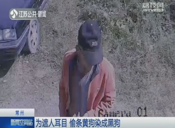 1547288565659121.png 1547288565659121.png