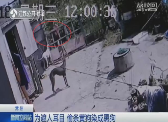 1547288573584695.png 1547288573584695.png