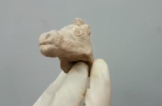 1548309245742815.jpg QQ截图20190124134929.jpg