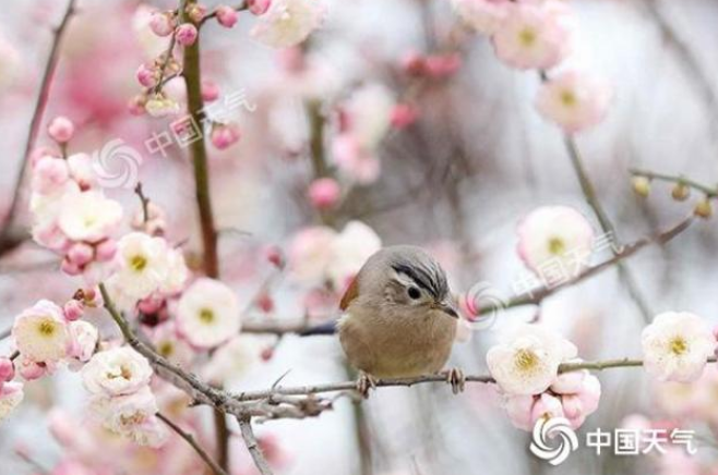 1549342826333136.png 1549342826333136.png