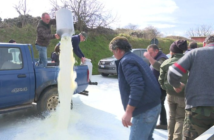 意大利奶农抗议价格过低 在大马路上泼羊奶(图)