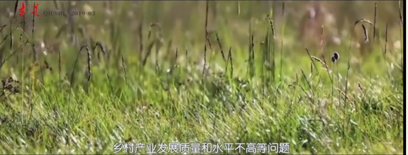 乡村振兴战略实施情况的调查与思考