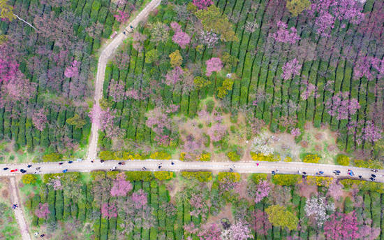 1550394705641780.jpg 2.jpg