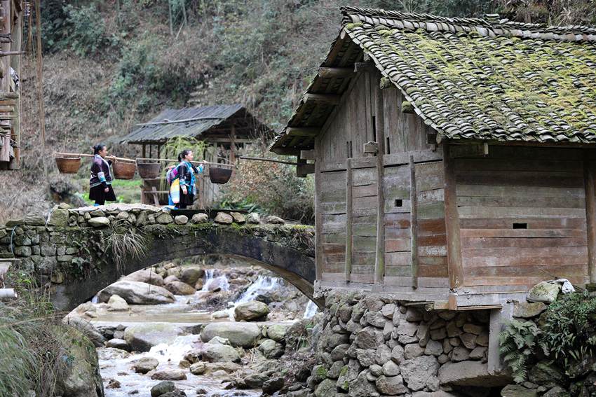 3 3月1日，位于桂黔交界的广西融水苗族自治县杆洞乡尧告苗寨，苗族女青年梁丽花和梁妤挑着稻谷行走进水碾。_副本.jpg