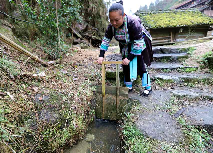 5  3月1日，位于桂黔交界的广西融水苗族自治县杆洞乡尧告苗寨，苗族女青年梁丽花打开水碾房冲水槽闸门。_副本.jpg