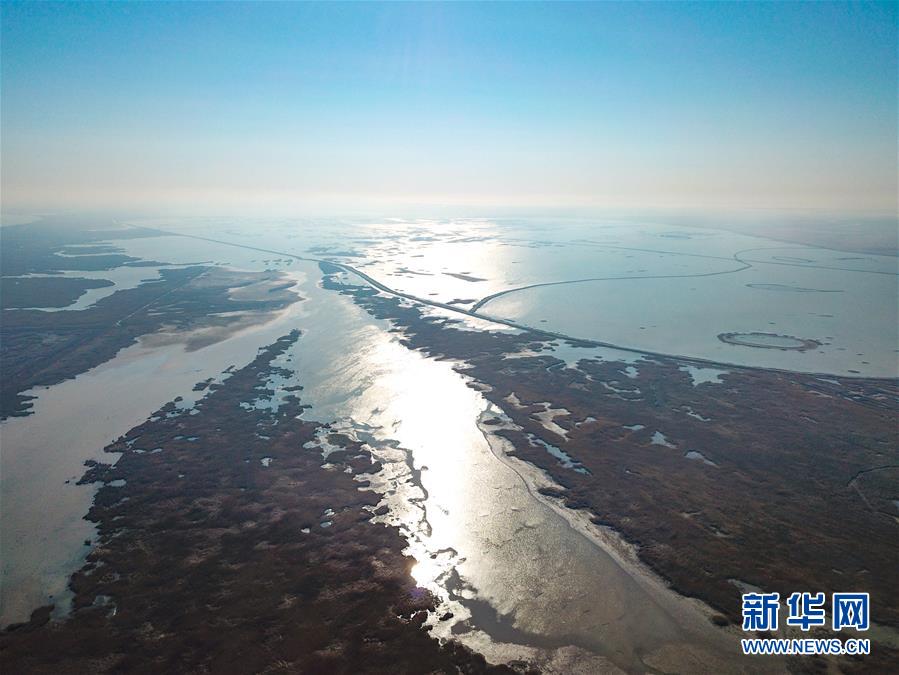鸟瞰黄河口湿地风光 鸟瞰黄河口湿地风光