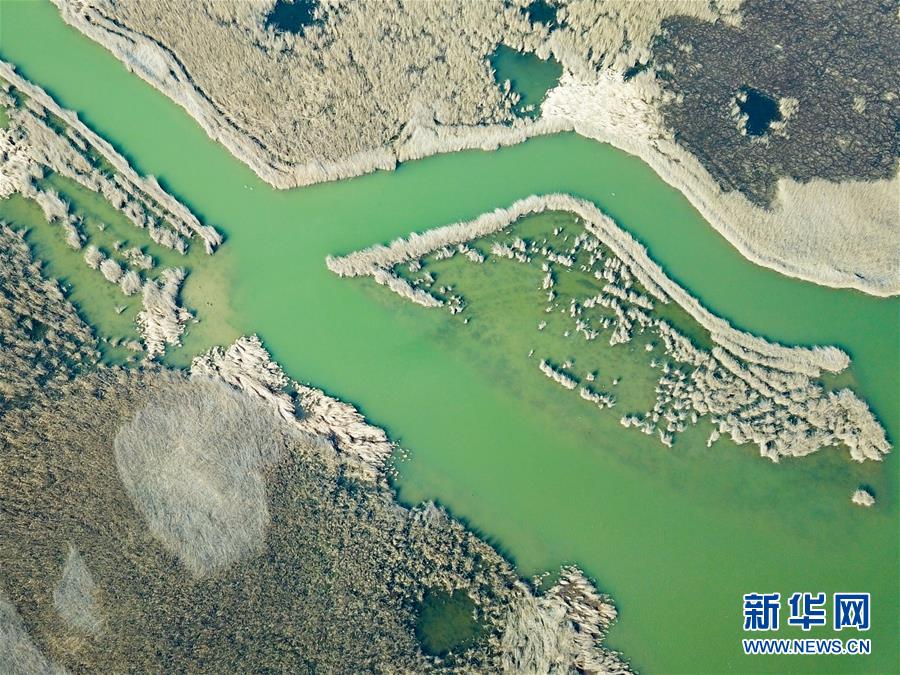鸟瞰黄河口湿地风光 鸟瞰黄河口湿地风光