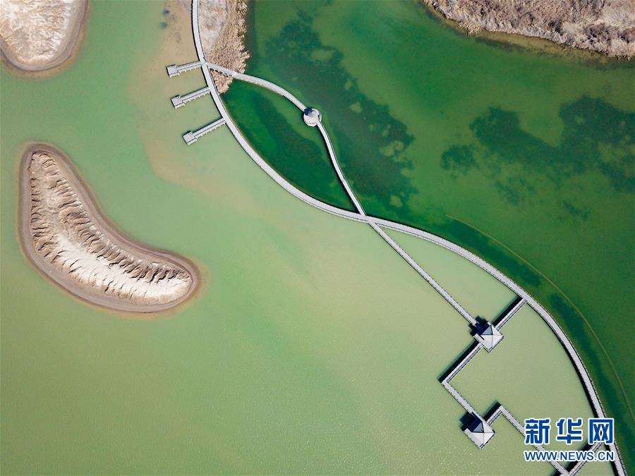 鸟瞰黄河口湿地风光 鸟瞰黄河口湿地风光