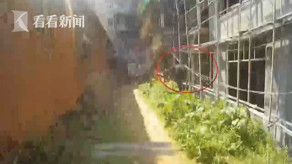 2a0da322f46f23e9e025382beb748d9b.png 微信图片_20190319135809.png