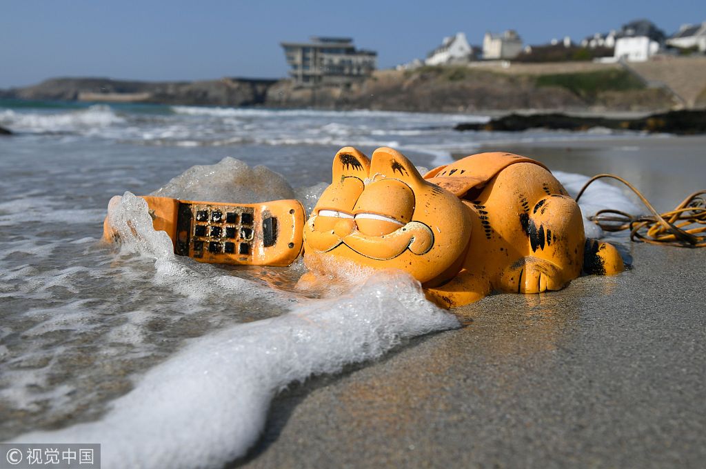 35年谜团得解！法国一海岸常年漂来“加菲猫” 原因是…