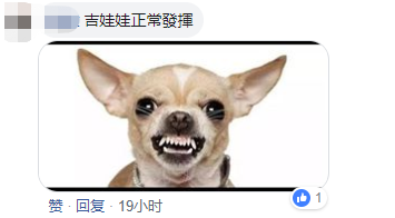 微信截图_20190403142457.png