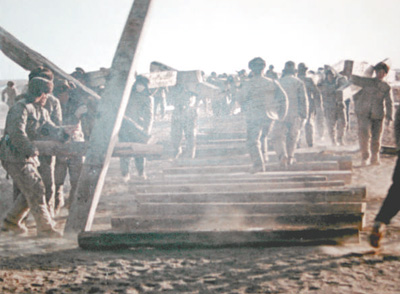 1554787940898510.jpg 1554406348190_1.jpg