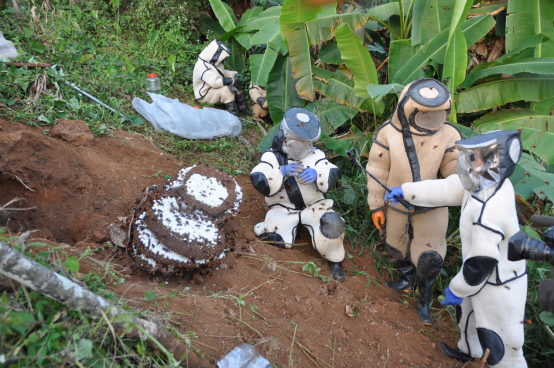 【媒体投稿】云南青年驯化“虎头蜂” 依托阿里助数万人致富826.png