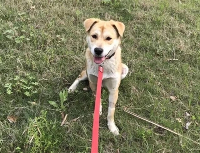 res01_attpic_brief (1).jpg