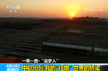 1555653257822691.jpg 红娘.jpg