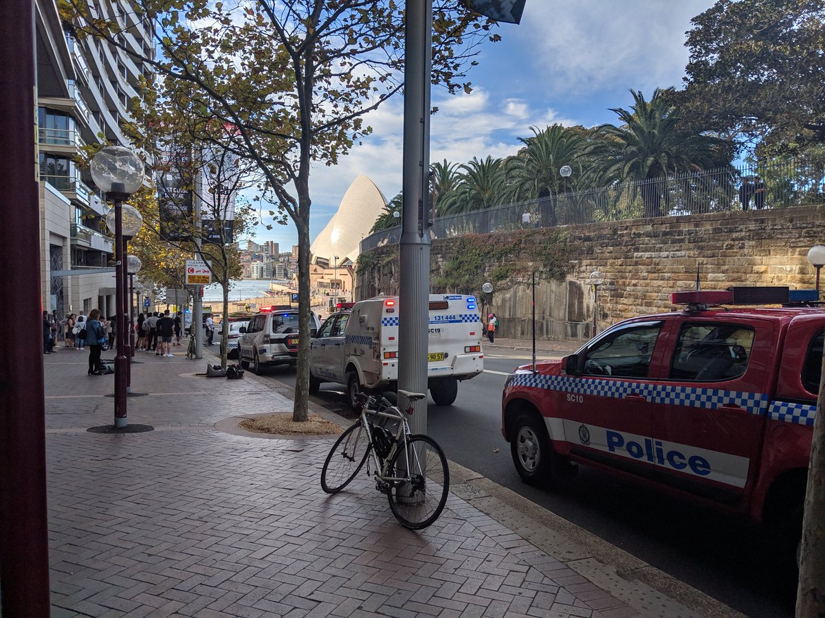 1556009916393859.jpg 1556009916393859.jpg