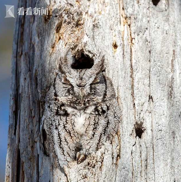 1556429229738871.png 1556429229738871.png