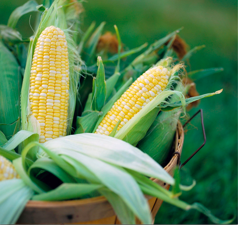 1556504215350572.png 微信图片_20190429101705.png