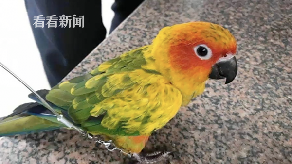 3b9f40de27f6803779808a0ed850d968.png WX20190501-211121@2x.png