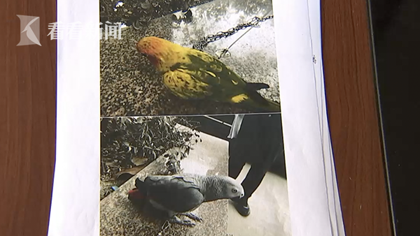 eb88eb8c92d1e62d88776feb6019ff8d.png WX20190501-211112@2x.png