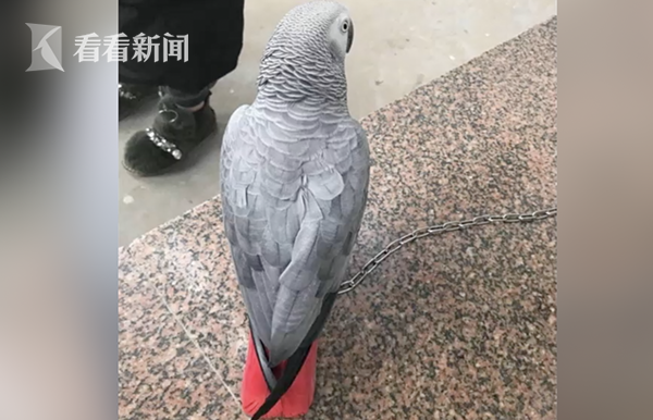 b7a1f48431e000ed477c9d2ebcfc0984.png WX20190501-211131@2x.png