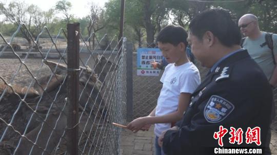 图为李存柱陪小雨喂鹿。 史成燕 摄 图为李存柱陪小雨喂鹿。 史成燕 摄