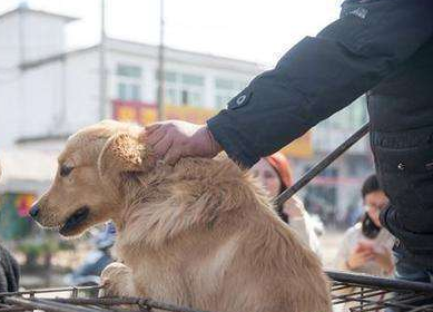 1557227304885785.png image.png