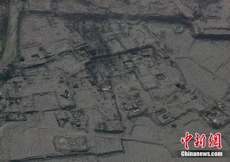 1557646565606344.jpg 640.webp.jpg