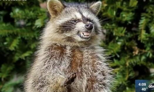 1558082044658598.jpg QQ截图20190517151745.jpg