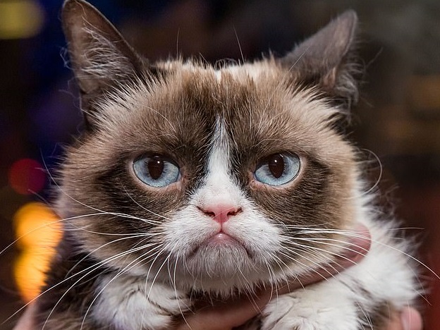 1558099048873629.jpg 13614720-7040569-image-a-17_1558088070361.jpg