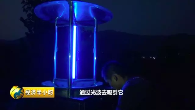 杀虫灯.jpg