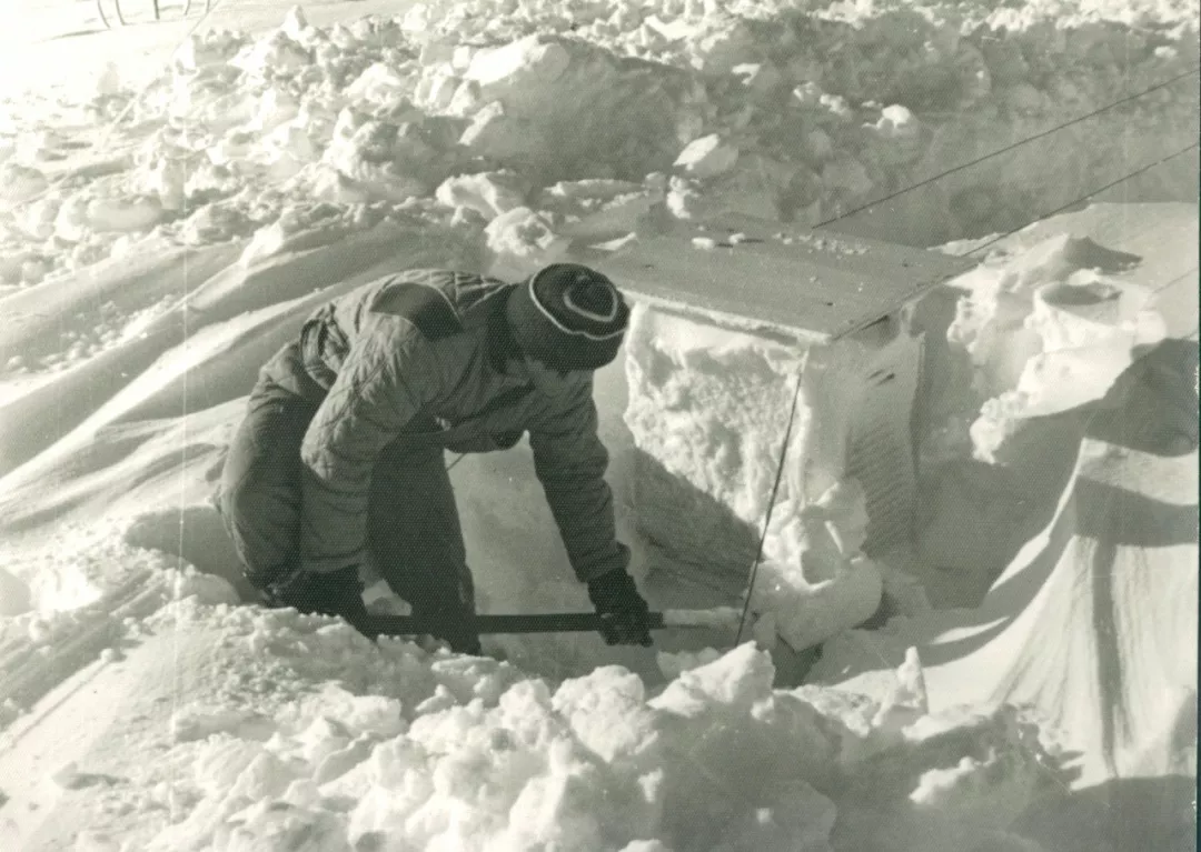 1559633165467280.jpg 1559633165467280.jpg