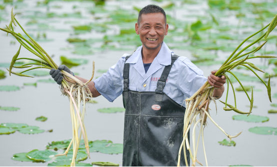 1560748104506318.png 现实中的“水性杨花”正在濒危 阿里抢救濒危蔬菜 满足了吃货也救了物种955.png