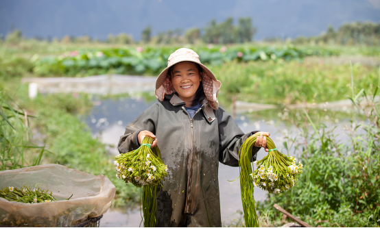 1560748117326698.png 现实中的“水性杨花”正在濒危 阿里抢救濒危蔬菜 满足了吃货也救了物种417.png