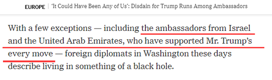  截图自《纽约时报》