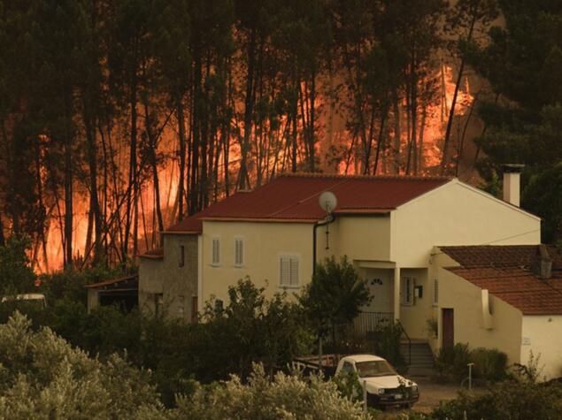葡萄牙中部地区发生山火 已致32人受伤