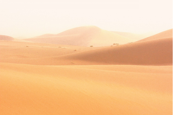 1563936740618620.png 蜜瓜换树苗:阿里“亩产一千美金”计划让民勤4000亩沙漠变绿洲177.png