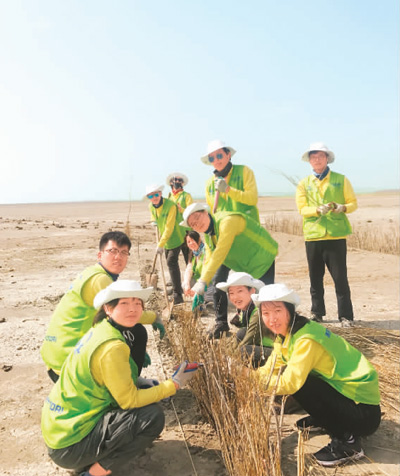 从荒漠里长出的绿色希望