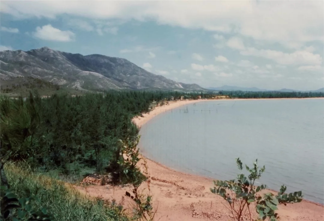 1566278539885576.jpg 1566278539885576.jpg